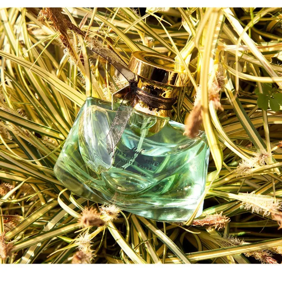 50ml Grapefruit Perfume Women Fragrance Spray